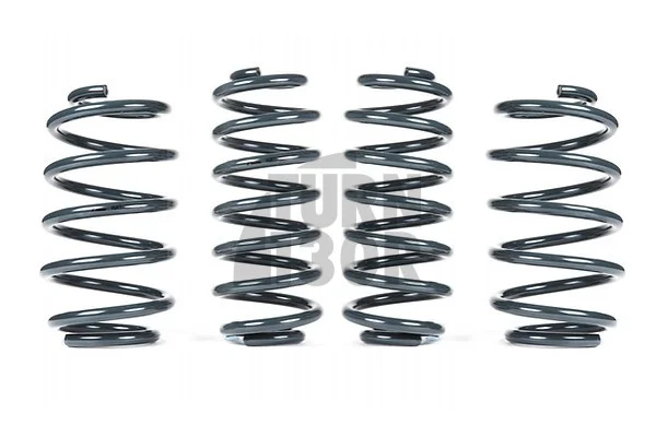 Racingline -25mm Sport Springs UP GTI 