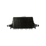 Black Mamba Ford Fiesta ST Mk8 Intercooler Black Mamba Ford Fiesta ST Mk8 Intercooler