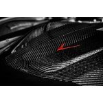 Eventuri Carbon Fiber Intake System for Mercedes AMG GT / GTS / GTC / GTR